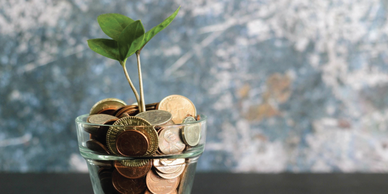 Financial Flow in Agriculture