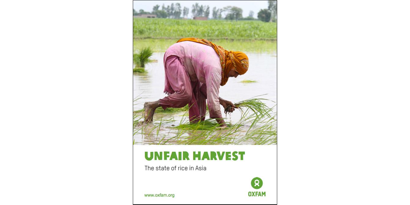 Unfair Harvest: The State of Rice in Asia Unfair Harvest: The State of Rice in Asia