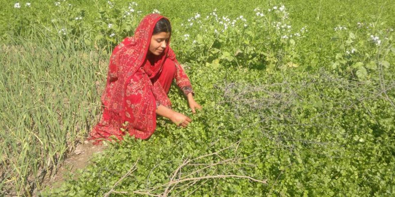 Oxfam in Asia - Pakistan - Hakim Mai, An Inspiring Climate Change Fighter Oxfam in Asia - Pakistan - Hakim Mai, An Inspiring Climate Change Fighter