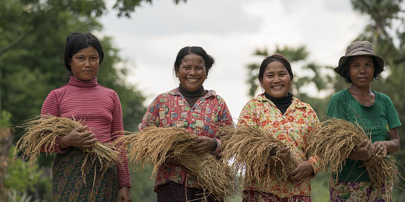 Cambodian Rice Farmers Turn to Blockchain to Gain Pricing Power Cambodian Rice Farmers Turn to Blockchain to Gain Pricing Power