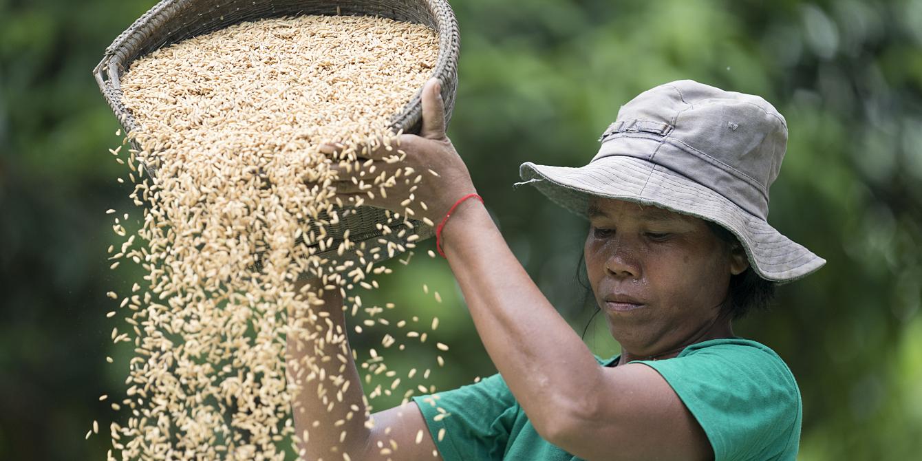Blockchain for Livelihood from Organic Cambodian Rice Blockchain for Livelihood from Organic Cambodian Rice