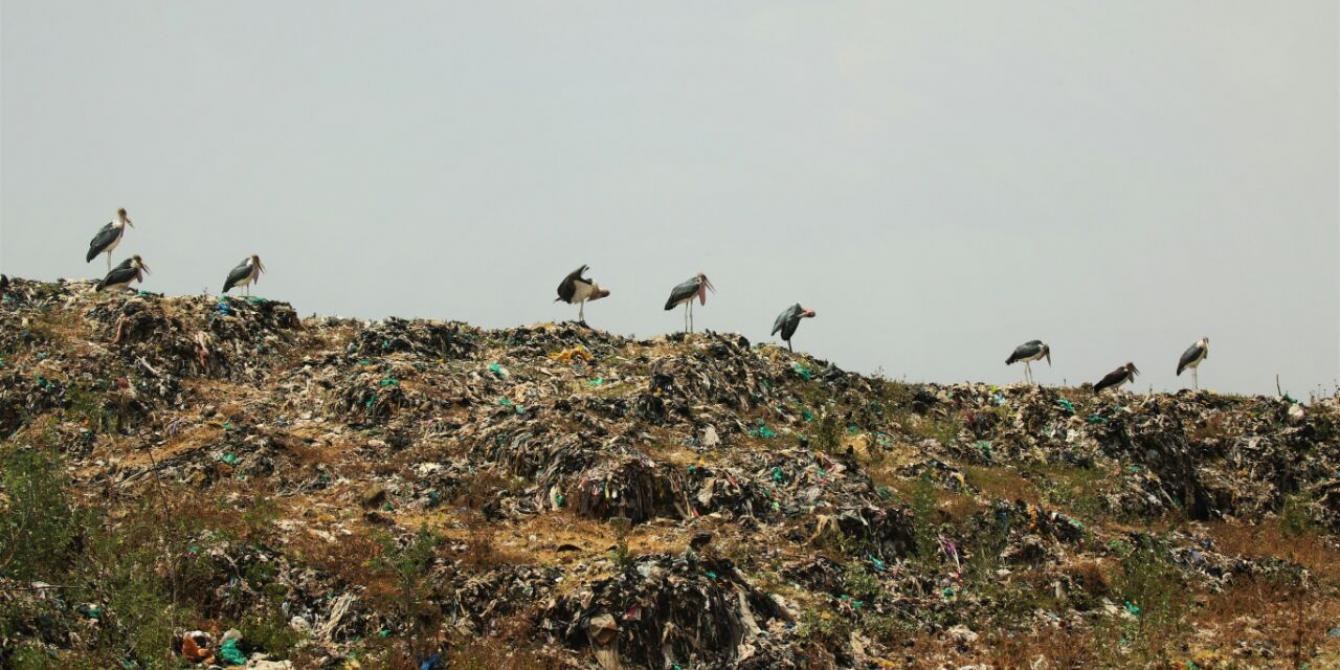 Dandora dumpsite. Photo Credit: Jeremy Mutiso Dandora dumpsite. Photo Credit: Jeremy Mutiso