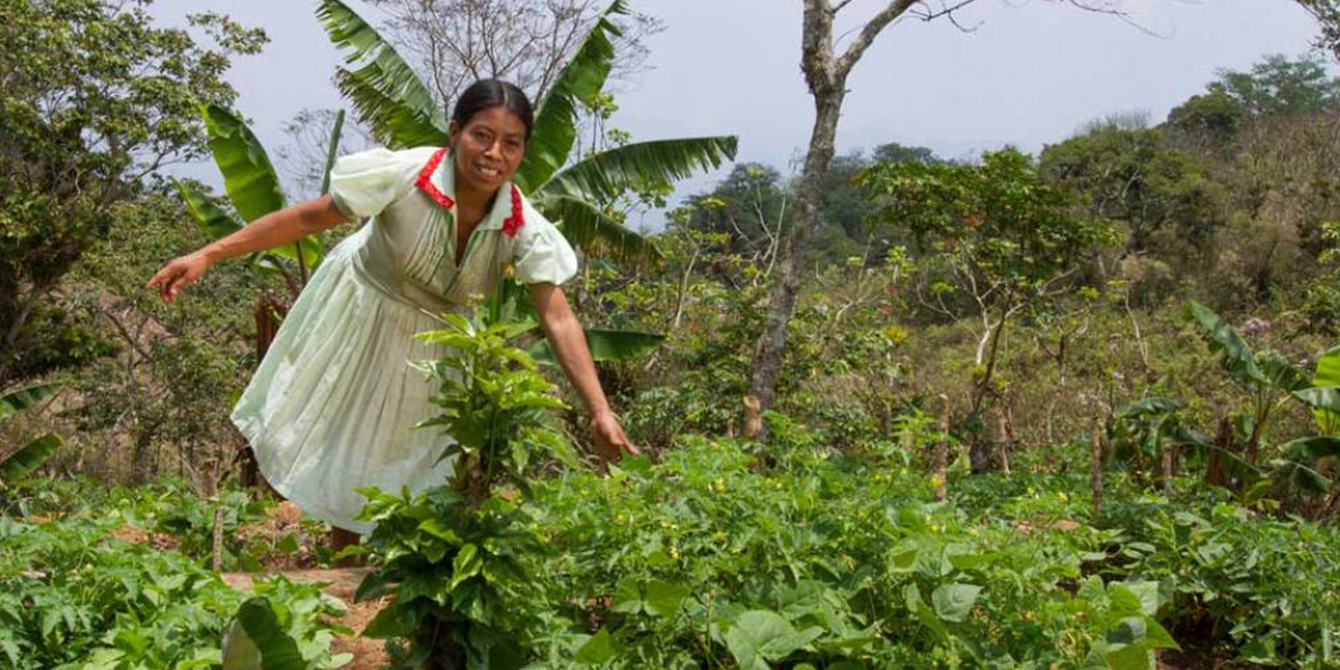 María Julia Pérez muestra el jardín que plantó con la ayuda de Oxfam para combatir la inseguridad alimentaria. María Julia Pérez muestra el jardín que plantó con la ayuda de Oxfam para combatir la inseguridad alimentaria.