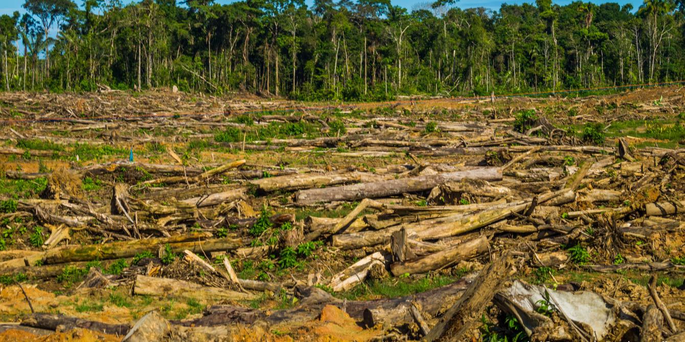 Los impactos de los agronegocios en la Amazonía | Oxfam en Perú