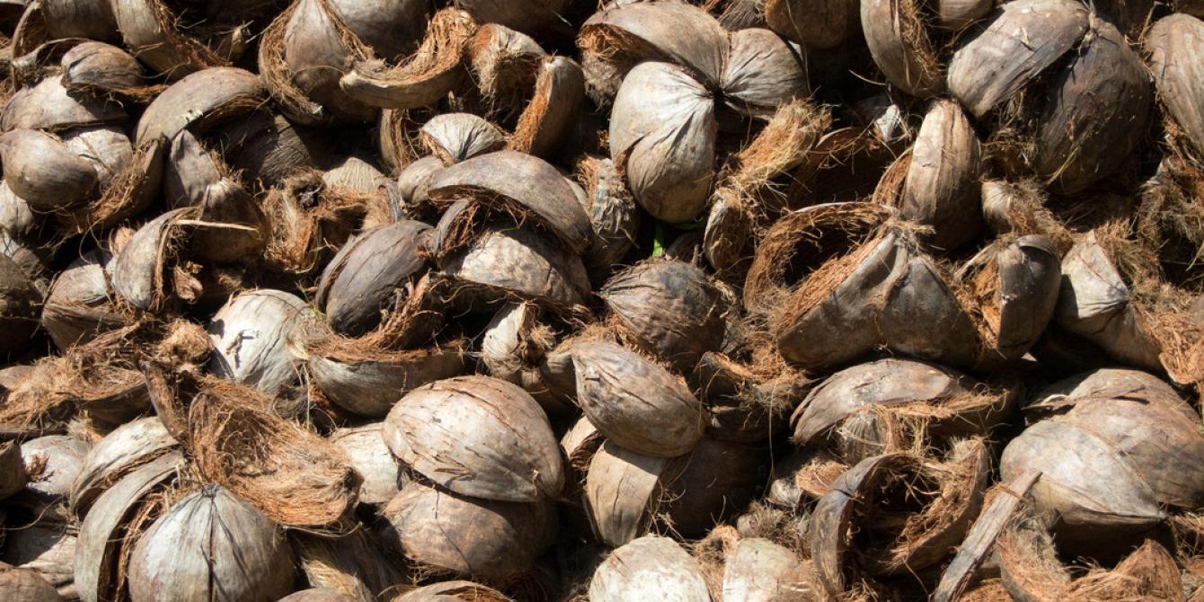 Coconut husks collected at the Hernani Integrated Coconut processing Plant and Agribusiness Livelihood Centre. (Photo: Caroline Gluck)