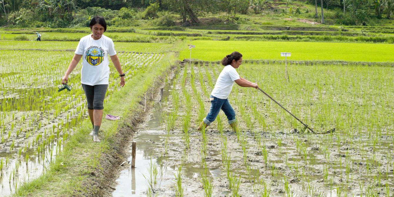 Emily Alpass demonstrates how to weed an organic paddy field. Oxfam has set up a number of Field Schools, giving farmers the opportunity to learn about new farming techniques and practices, grow new vegetable varieties, learn about climate change and making their own organic fertilizers.  Each field school has roughly 32 members at one time who attend sessions on a weekly basis for 6 months.Photo: Tessa Bunney/ Oxfam