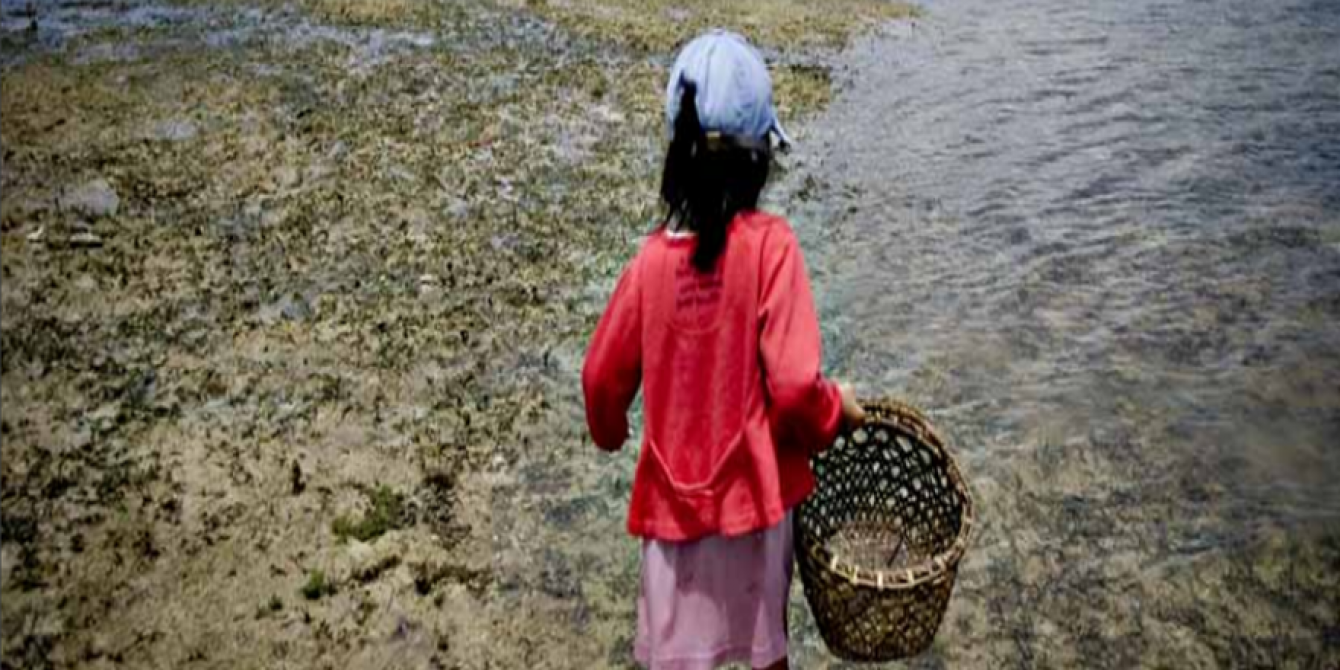 A little girl gleans shells on the island of Mahaba, Surigao del Sur, to augment the family income. On average, the poorest Filipino households live on less than a dollar a day, 60% of which is spent on food. (Original photo: Veejay Villafranca)