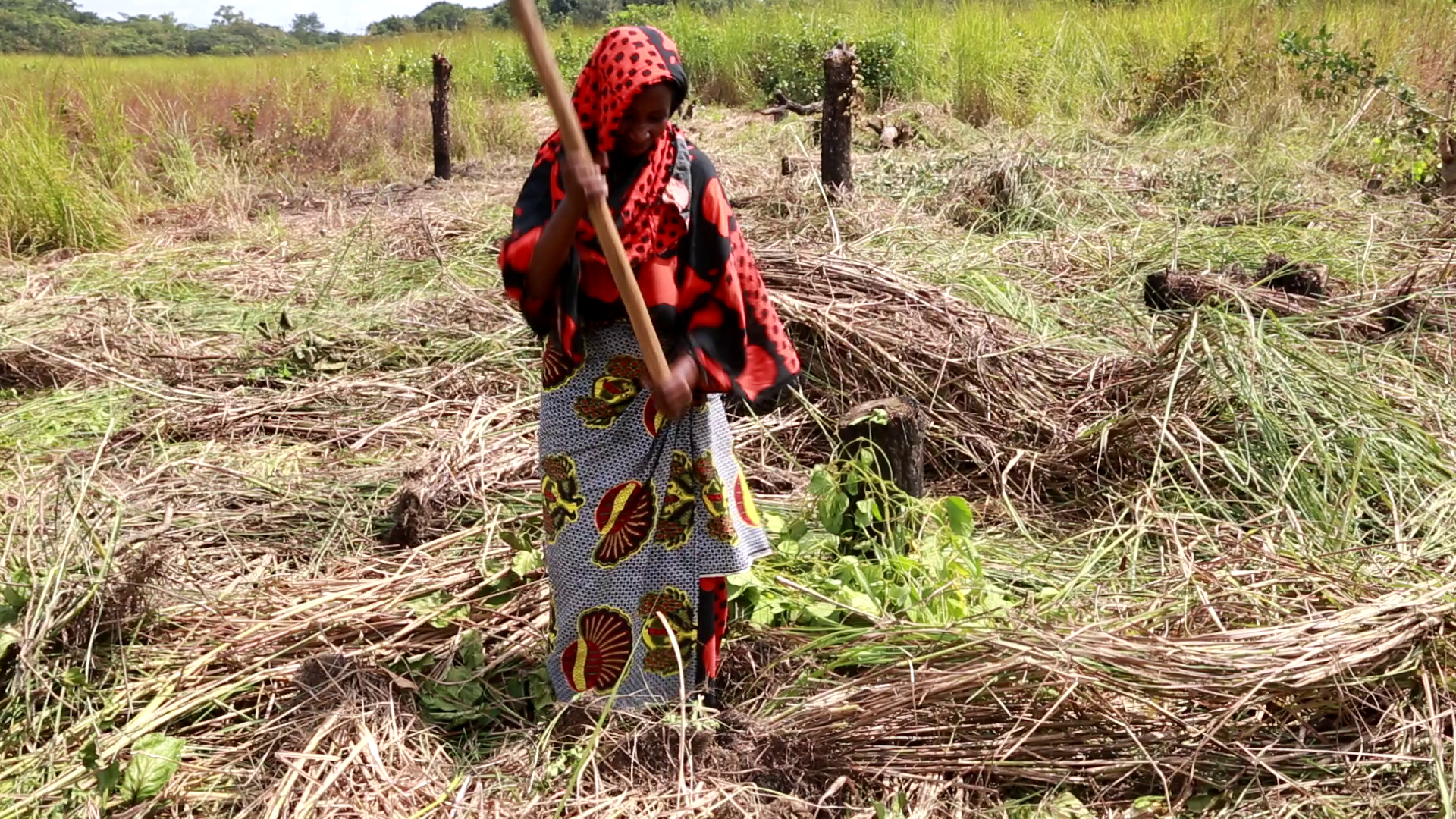 Aichatou est entrain de nettoyer l’espace pour les activités maraîchères sa coopérative "Agri Pionnier Centrafrique
