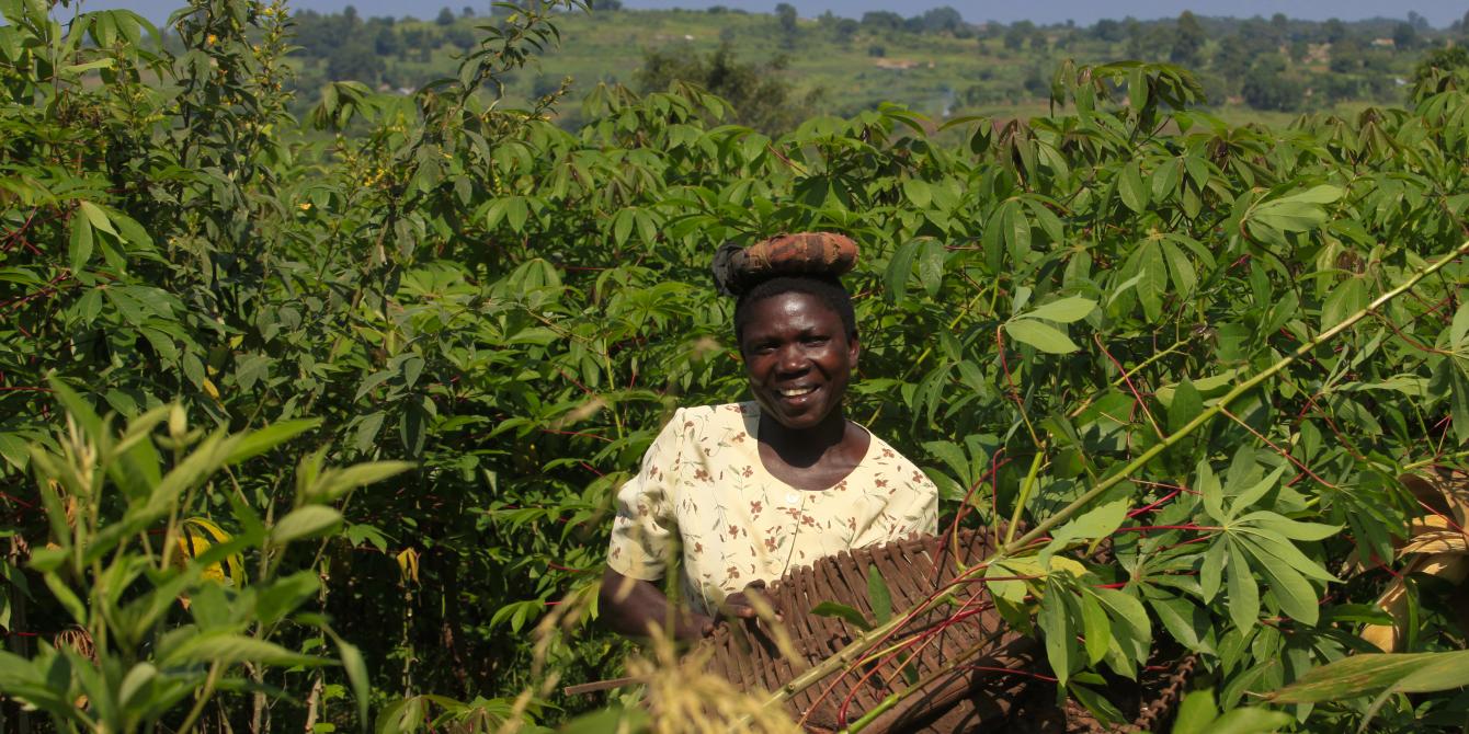 An Oxfam supported cassava farmer. Photo credit: James Akena An Oxfam supported cassava farmer.Photo credit: James Akena