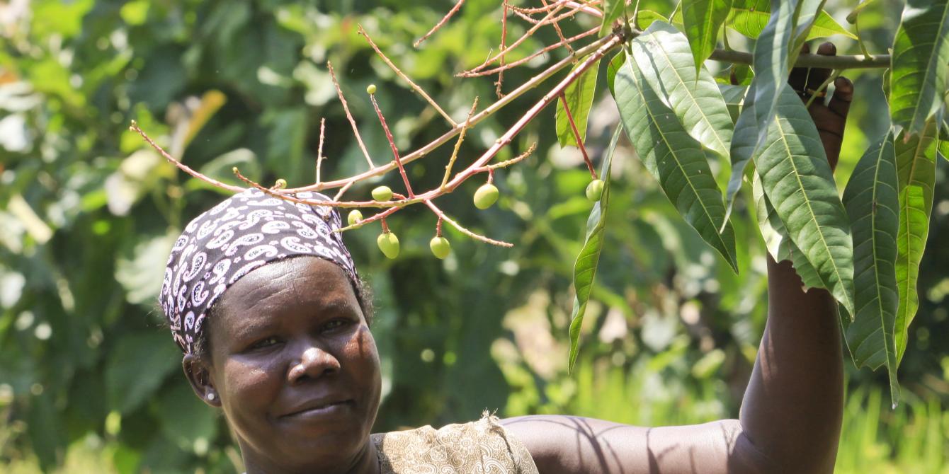 Vita from Arua by her mango tree. She says "I believe in taking care of the environment because we live off it and if it’s destroyed, we will not survive." photo by James Akena/Oxfam Vita from Arua by her mango tree. She says "I believe in taking care of the environment because we live off it and if it’s destroyed, we will not survive. "
