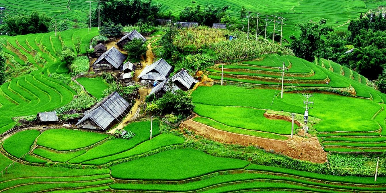 Rice paddies in northern Vietnam. Credit: Oxfam Vietnam Rice paddies in northern Vietnam. Credit: Oxfam Vietnam