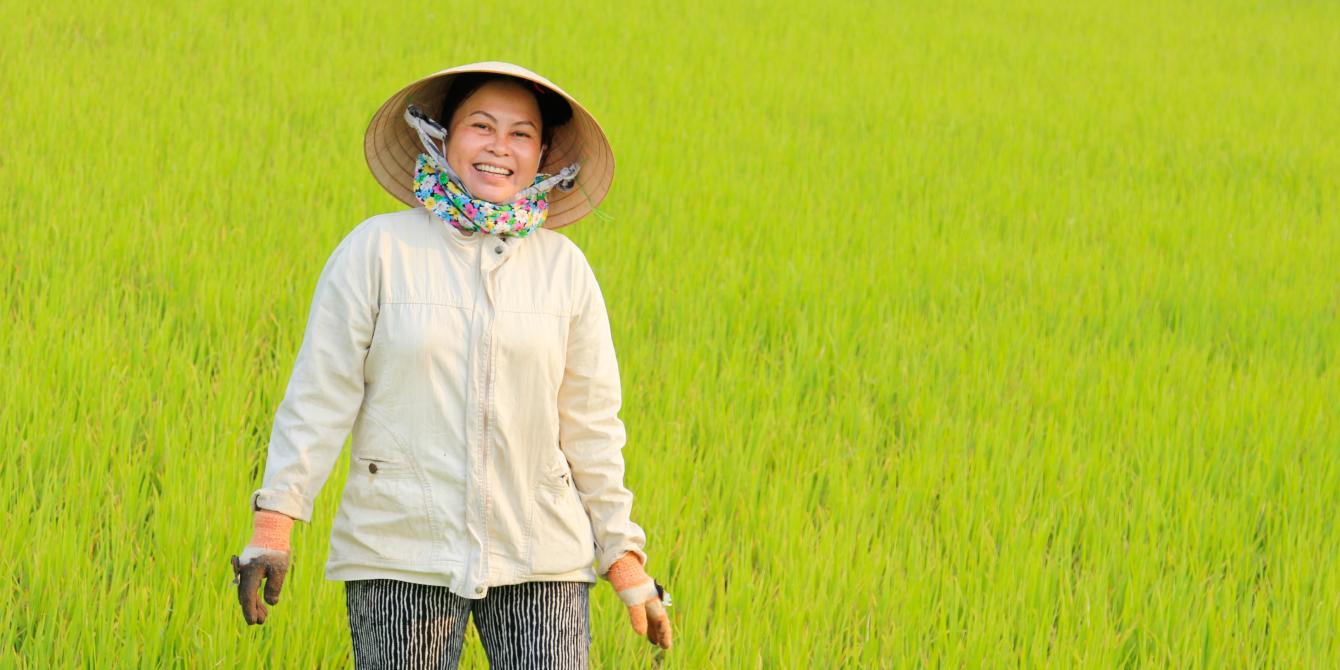 Working the rice fields in rural Vietnam. Credit: Oxfam Vietnam Working the rice fields in rural Vietnam. Credit: Oxfam Vietnam