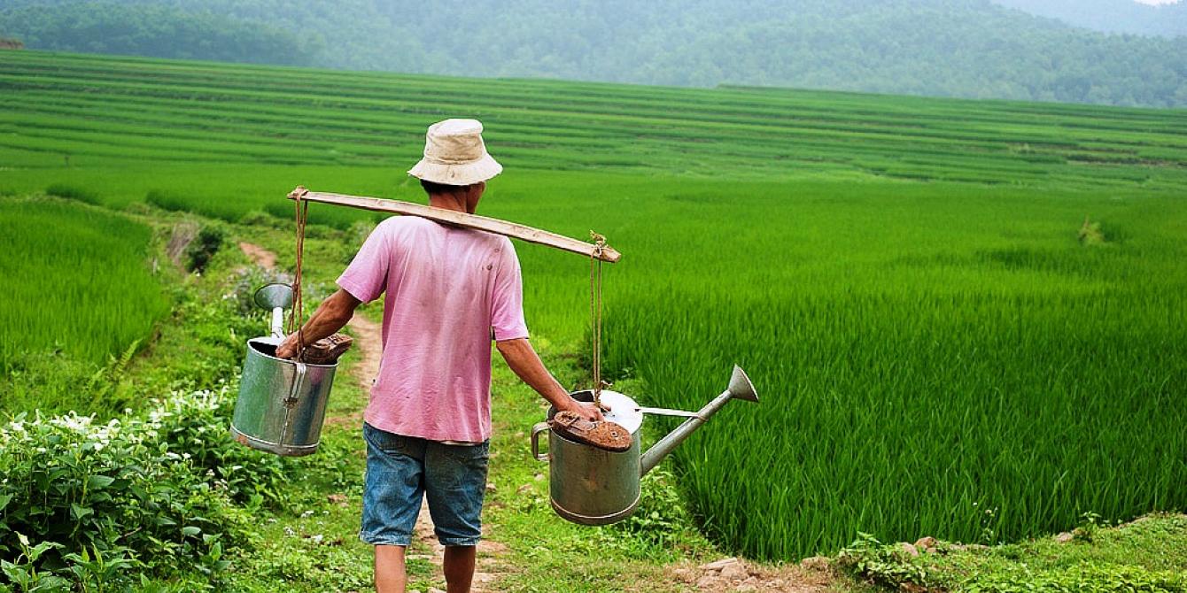 A farmer at work in Hoa Binh province. Credit: Oxfam Vietnam A farmer at work in Hoa Binh province. Credit: Oxfam Vietnam